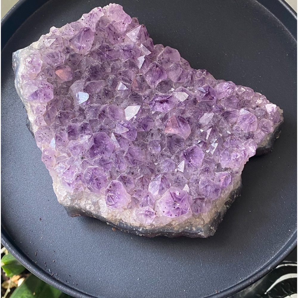 Amethyst Crystal 5 in